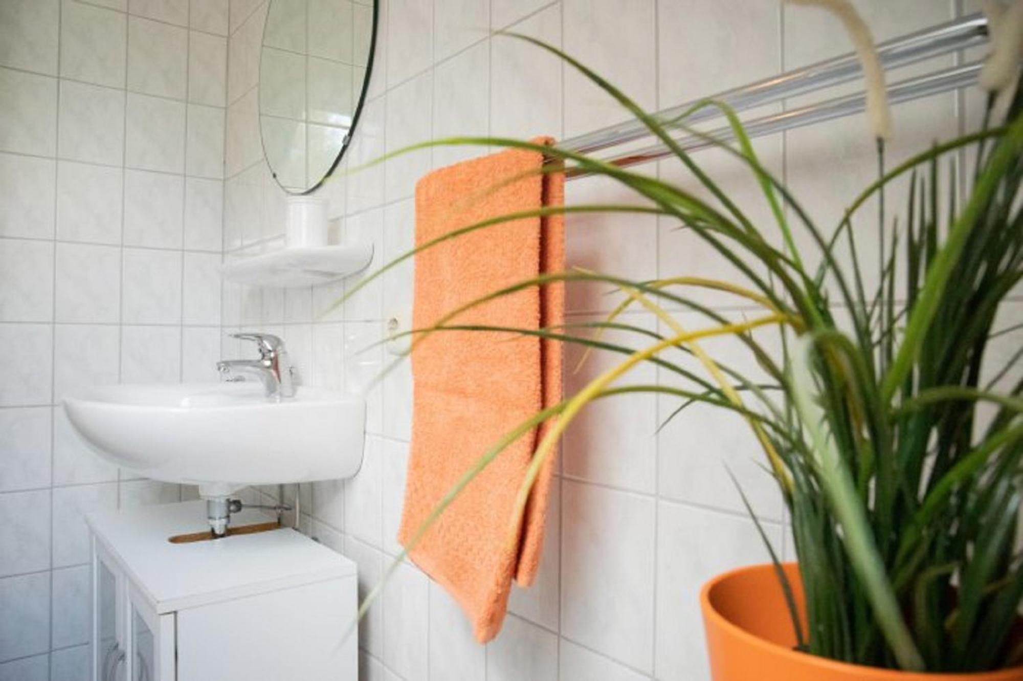 Reiterhof Ekenhoff Appartement Moorweg Buitenkant foto